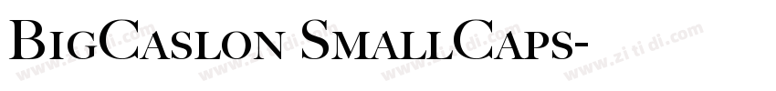 BigCaslon SmallCaps字体转换
